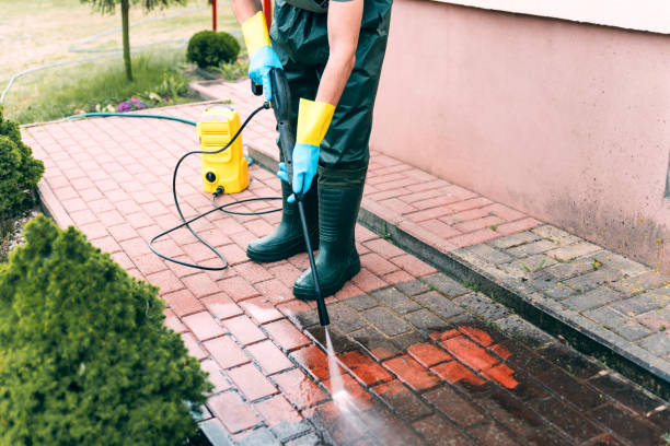 Best Roof Pressure Washing  in Fairview Heights, IL