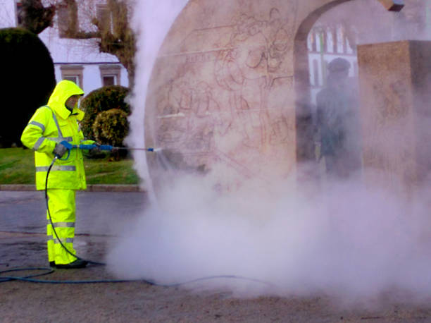 Best Best Pressure Washing Companies  in Fairview Heights, IL